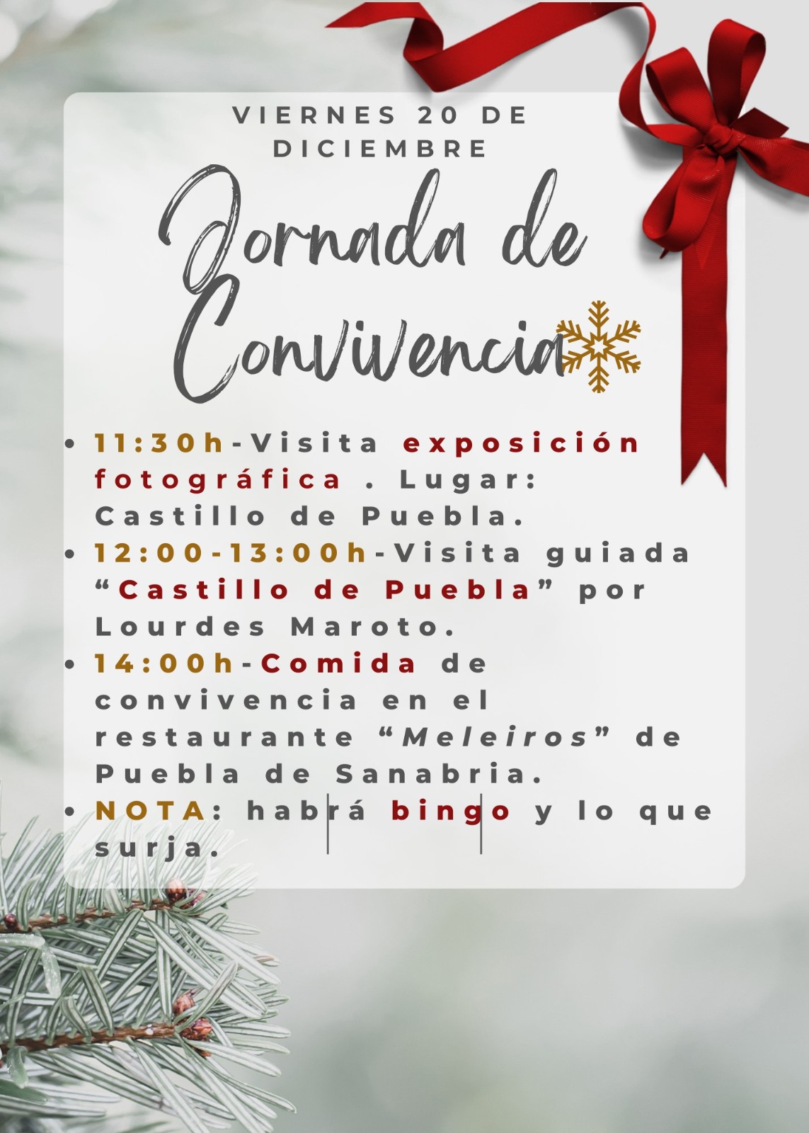 PROGRAMA NAVIDAD PROGRAMA NAVIDAD
